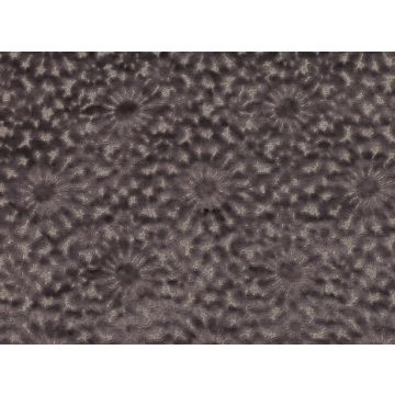 Romo - Merletto - 7738/05 Graphite