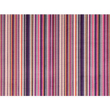 Romo - Parada - 7761/05 Crocus