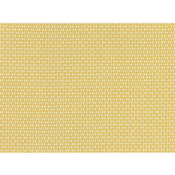 Romo - Ituri - 7888/04 Maize