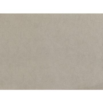 Romo - Asper - W399/03 Indium