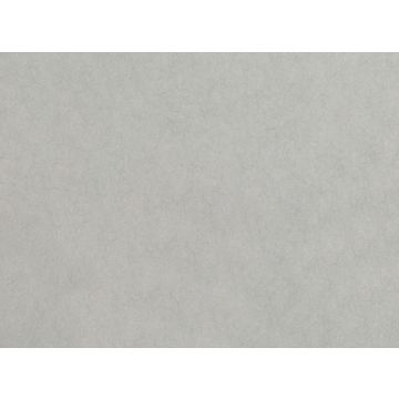 Romo - Asper - W399/06 Silver