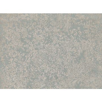 Romo - Nyiri - W424/04 Silver-Blue