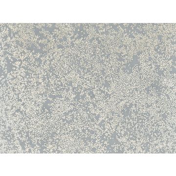 Romo - Nyiri - W424/05 Cirrus