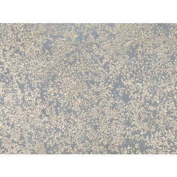 Romo - Nyiri - W424/06 Andesite