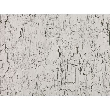 Romo Black Edition - Antica - Indium W907/02