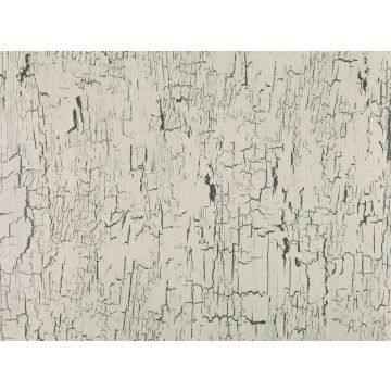 Romo Black Edition - Antica - Quartz W907/04