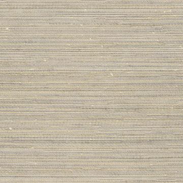 Rubelli - Stuoia Wall - 23034-013 Argilla