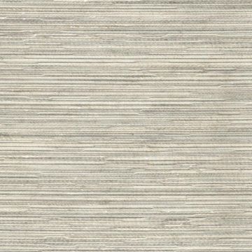 Rubelli - Stuoia Wall - 23034-014 Madreperla