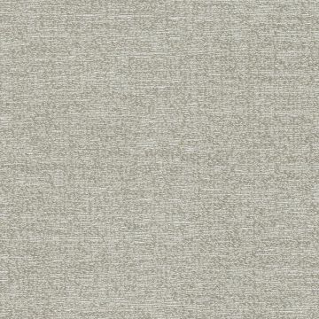 Rubelli - Watermark Wall - 23035-026 Grigio