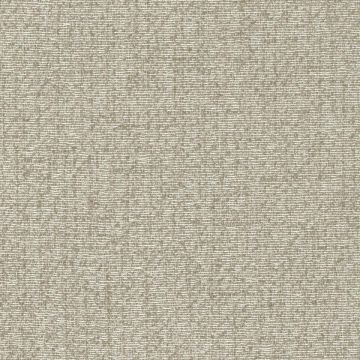 Rubelli - Lacework Wall - 23036-035 Madreperla