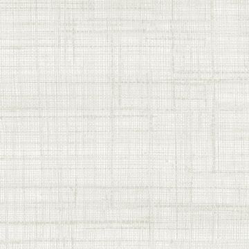 Rubelli - Paja Wall - 23039-001 Avorio