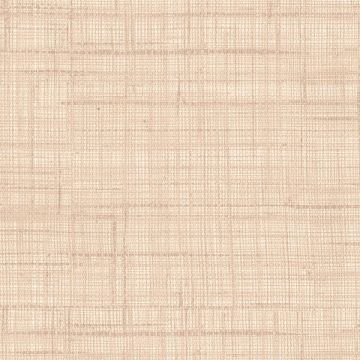 Rubelli - Paja Wall - 23039-003 Argilla