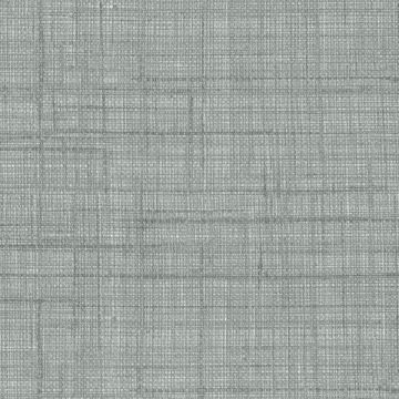 Rubelli - Paja Wall - 23039-004 Argento