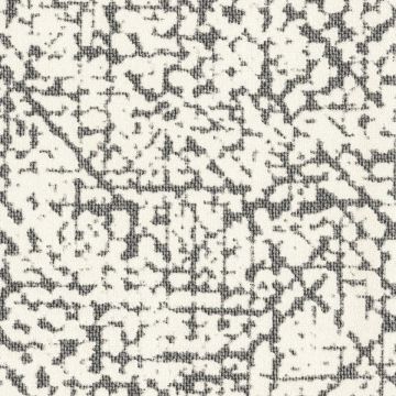 Rubelli - Diecielode Wall - 23040-006 Bianconero