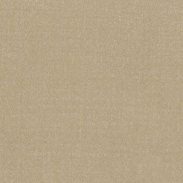 Rubelli - Diva Shantung - 30357-007 Camoscio