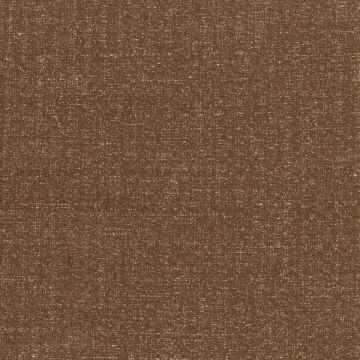 Rubelli - Diva Shantung - 30357-011 Marrone