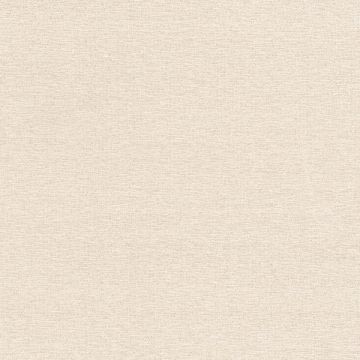 Rubelli - Wide Shantung - 30358-001 Avorio