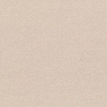 Rubelli - Wide Shantung - 30358-002 Nude