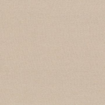 Rubelli - Wide Shantung - 30358-003 Beige