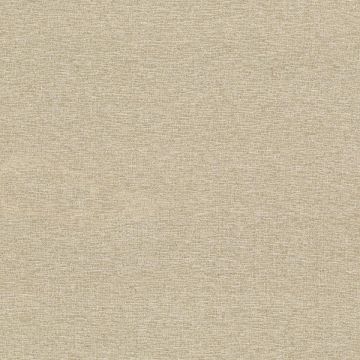 Rubelli - Wide Shantung - 30358-004 Sabbia