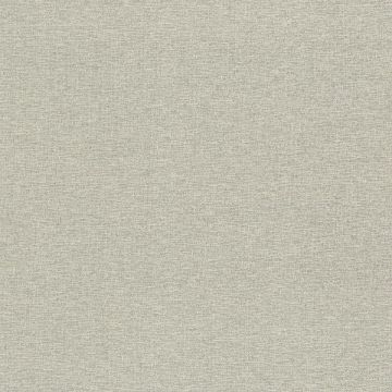 Rubelli - Wide Shantung - 30358-005 Madreperla