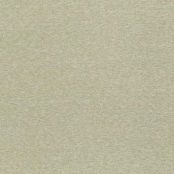 Rubelli - Wide Shantung - 30358-008 Giada