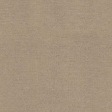 Rubelli - Nap - 30422-003 Argilla