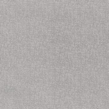 Rubelli - Jazz Club - 30490-006 Grigio