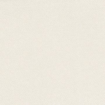 Rubelli - Glassweave - 30607-001 Avorio