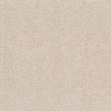 Rubelli - Glassweave - 30607-005 Argilla
