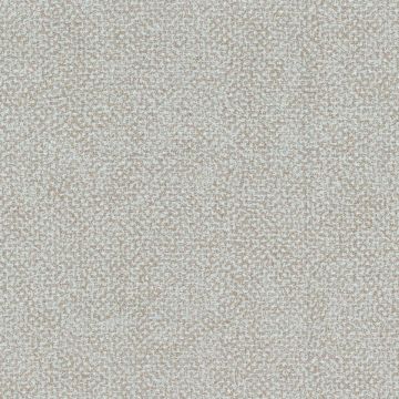 Rubelli - Glassweave - 30607-010 Madreperla