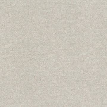 Rubelli - Glassweave - 30607-011 Polvere