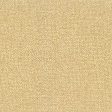 Rubelli - Glassweave - 30607-013 Dorata