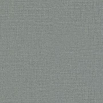 Rubelli - Shadow - 30612-010 Argento