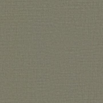 Rubelli - Shadow - 30612-013 French Gray
