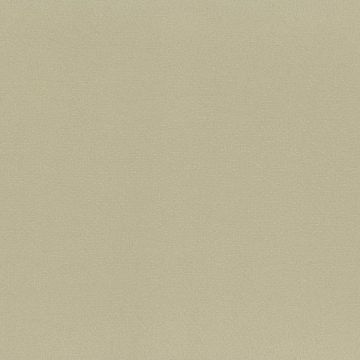 Rubelli - Twilight - 30625-005 Sabbia