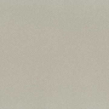 Rubelli - Twilight - 30625-006 Madreperla