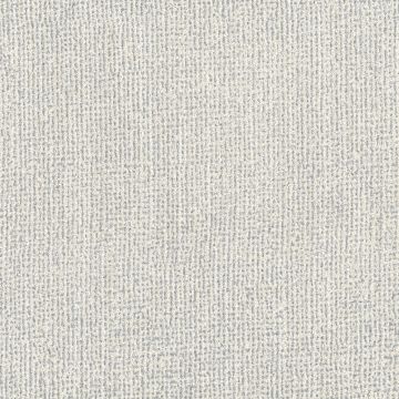 Rubelli - Superwong Wall 23002-001 Argento