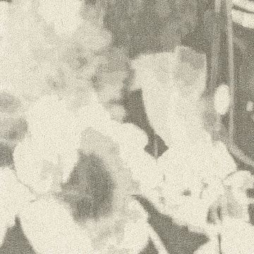 Rubelli - Chiaroscuro Wall 23003-001 Avorio