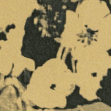 Rubelli - Chiaroscuro Wall 23003-003 Bronzo