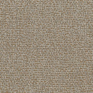 Rubelli - Carlo Magno Wall 23005-003 Bronzo