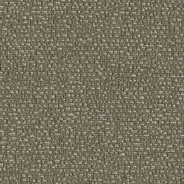 Rubelli - Carlo Magno Wall 23005-004 Peltro