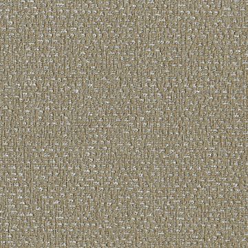 Rubelli - Carlo Magno Wall 23005-005 Argento