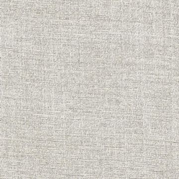 Rubelli - Filigrana Wall 23016-002 Madreperla