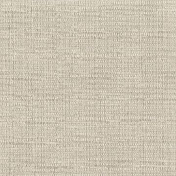 Rubelli - Barene Wall 23020-005 Argilla