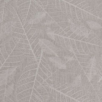 Sahco - Fossil - 2583-02