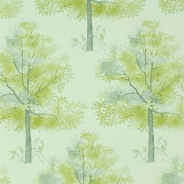 The Royal Collection - Arboretum - PQ008/05 Lapis