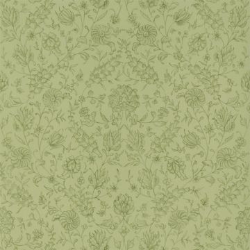 The Royal Collection - Flora - PQ009/16 Fern