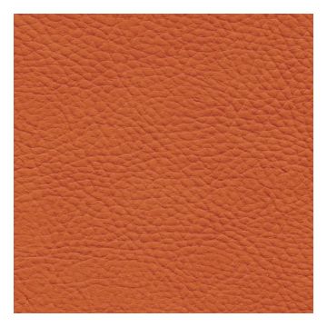 Élitis - Stromboli - Sortie en ville TV 238 35