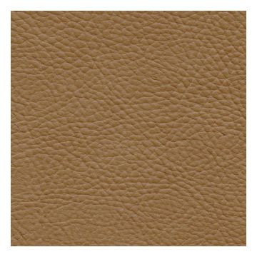 Élitis - Stromboli - Une journée au haras TV 238 74